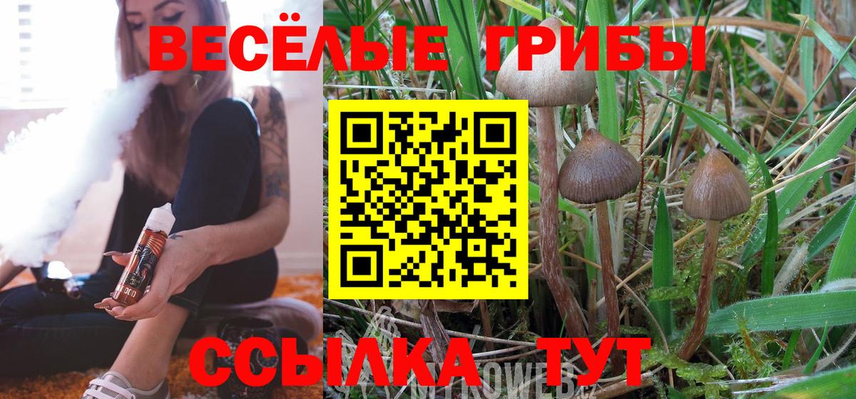 Галлюциногенные грибы ЛСД Михайловка